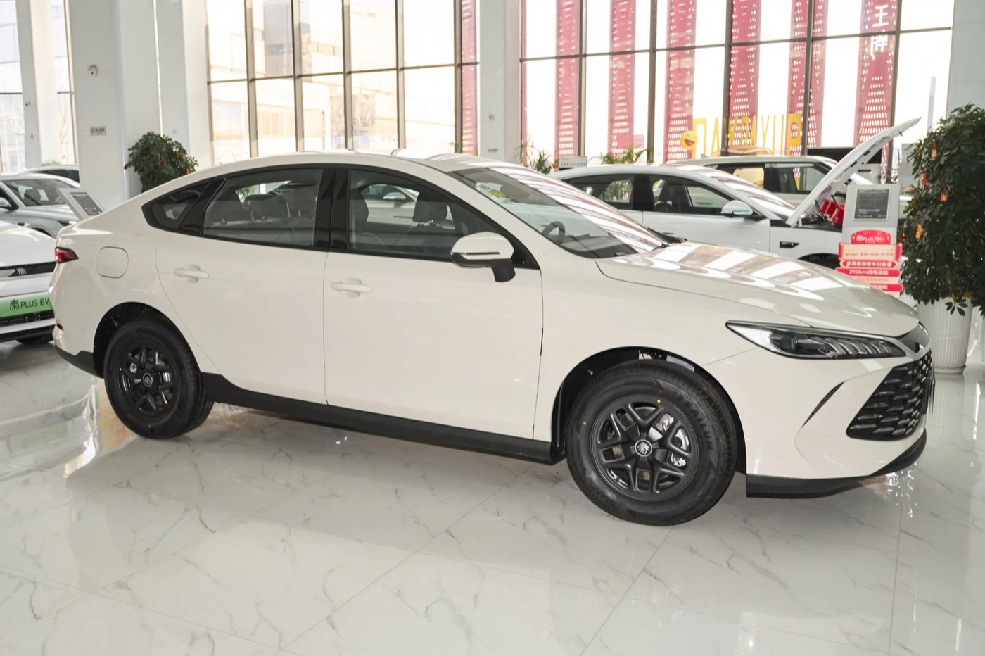 BYD Qin PLUS DM-i миниатюра 3